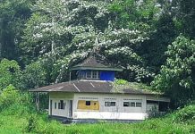 #Satu Gambar, Beribu Makna (SGBM): Surau di Tepi Sawah