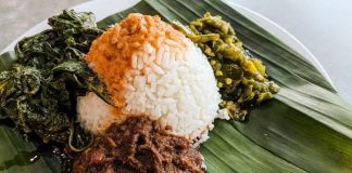 nasi padang