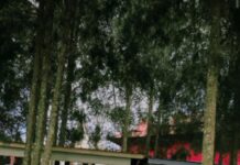 Pentingnya Menerapkan Kerendahan Hati